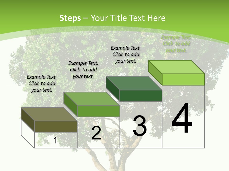 Tree White Background PowerPoint Template