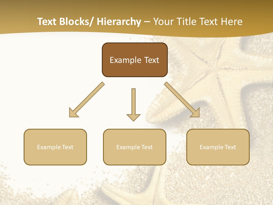 Lounge Del Mar PowerPoint Template
