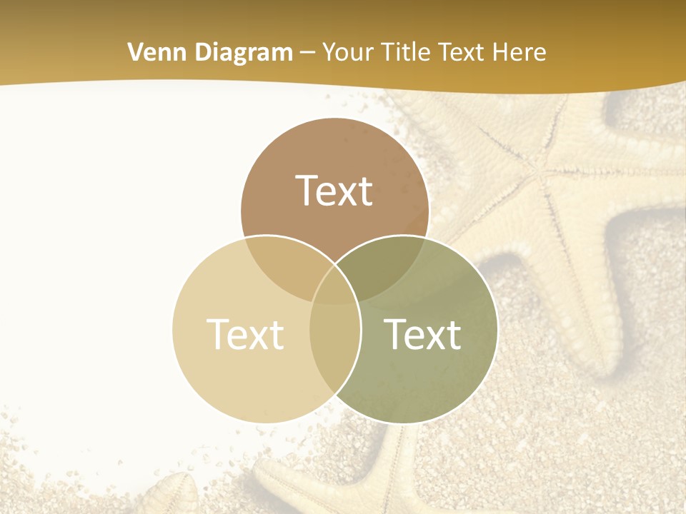 Lounge Del Mar PowerPoint Template