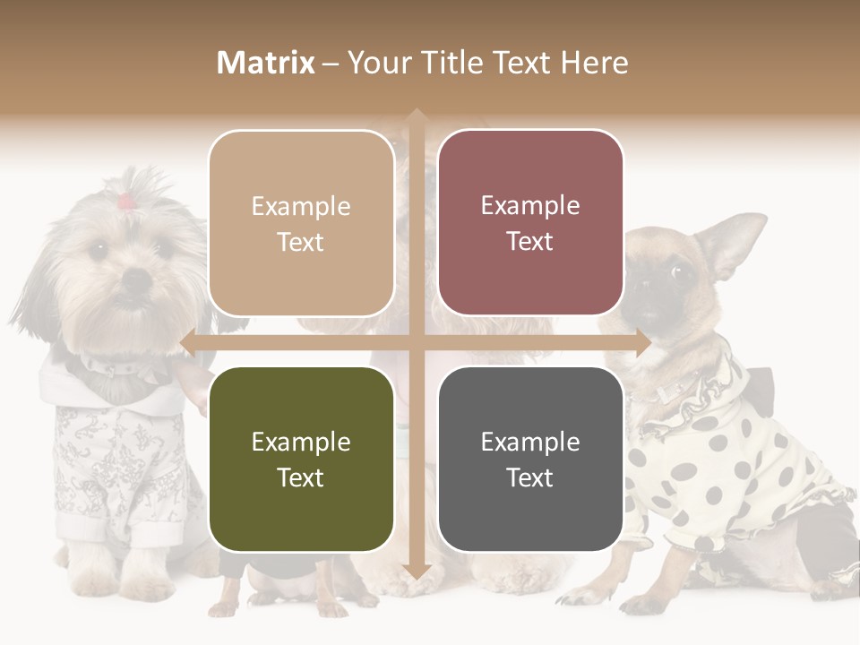 Prague Aerial Satellite PowerPoint Template