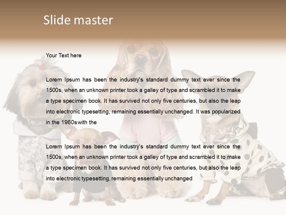 Prague Aerial Satellite PowerPoint Template