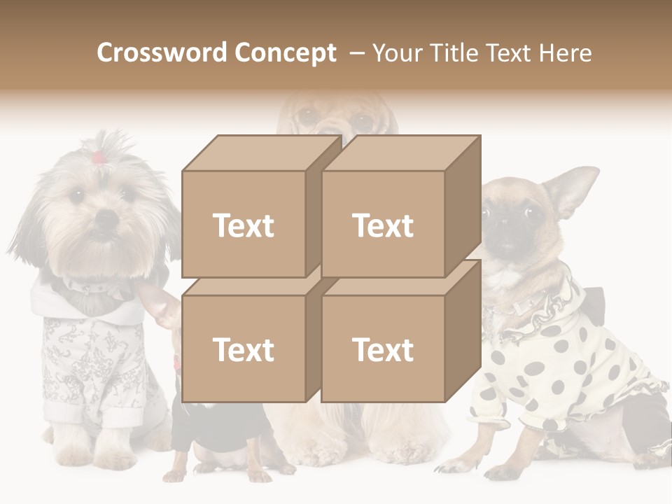 Prague Aerial Satellite PowerPoint Template