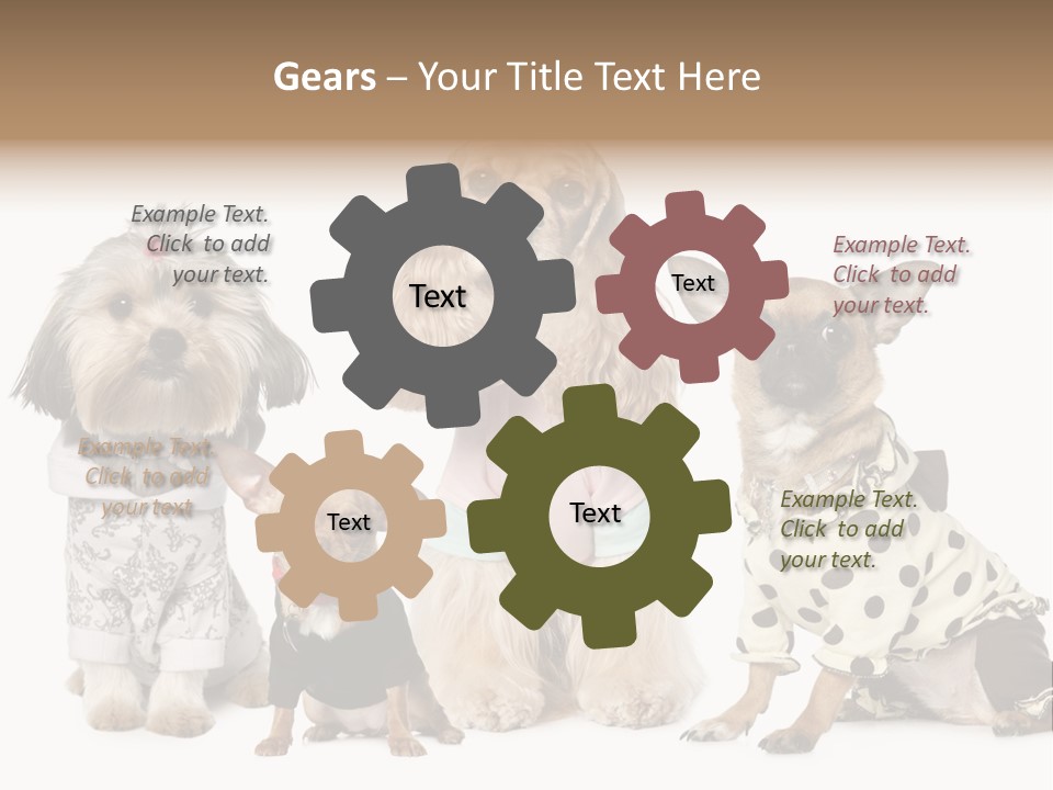 Prague Aerial Satellite PowerPoint Template