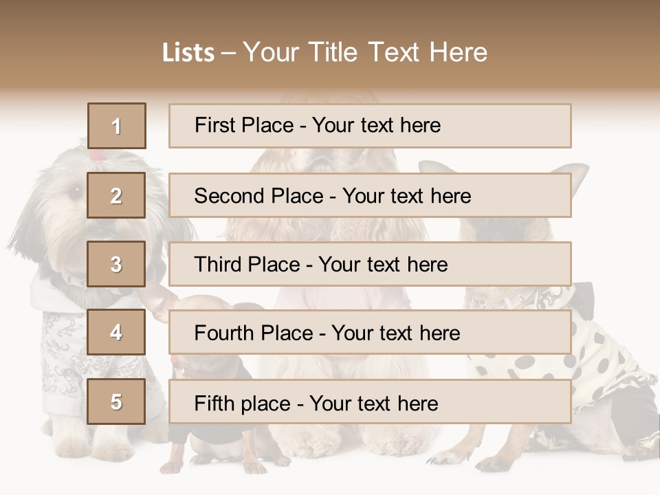 Prague Aerial Satellite PowerPoint Template