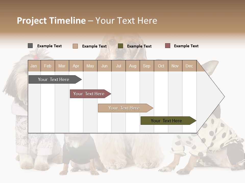Prague Aerial Satellite PowerPoint Template
