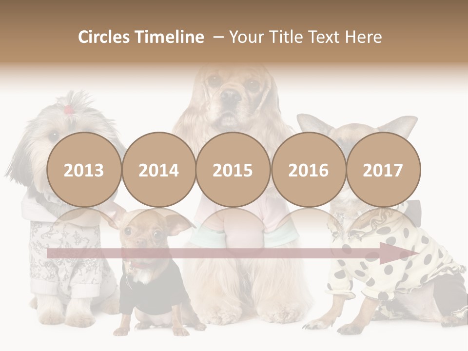 Prague Aerial Satellite PowerPoint Template