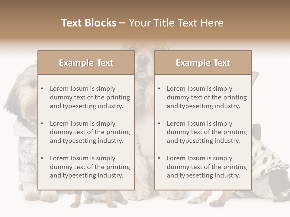 Prague Aerial Satellite PowerPoint Template