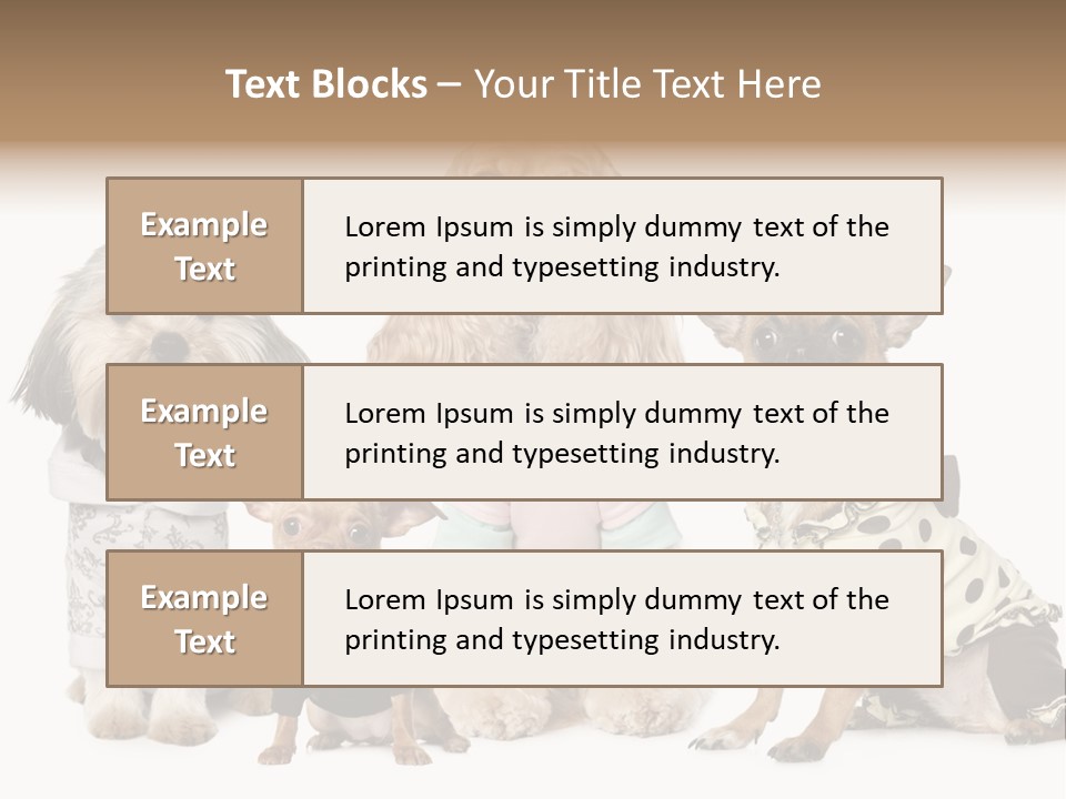 Prague Aerial Satellite PowerPoint Template