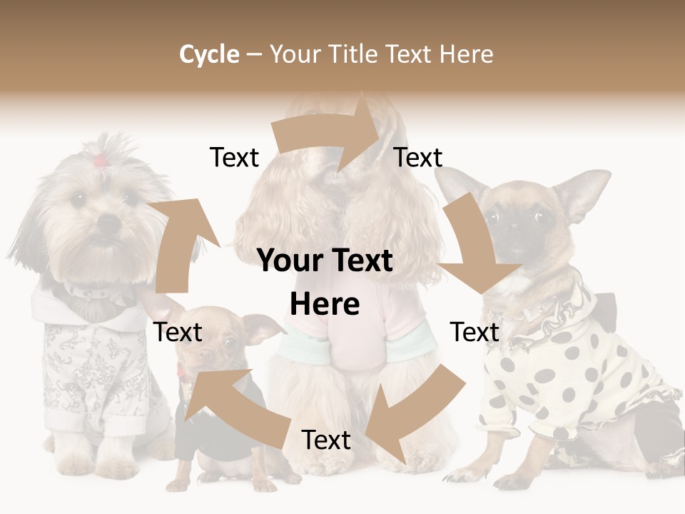 Prague Aerial Satellite PowerPoint Template