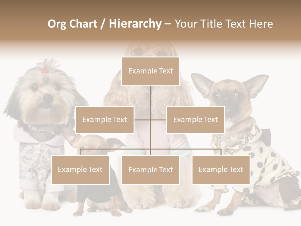Prague Aerial Satellite PowerPoint Template