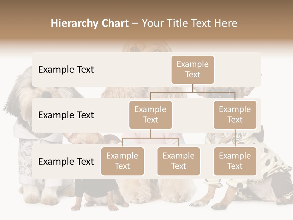 Prague Aerial Satellite PowerPoint Template