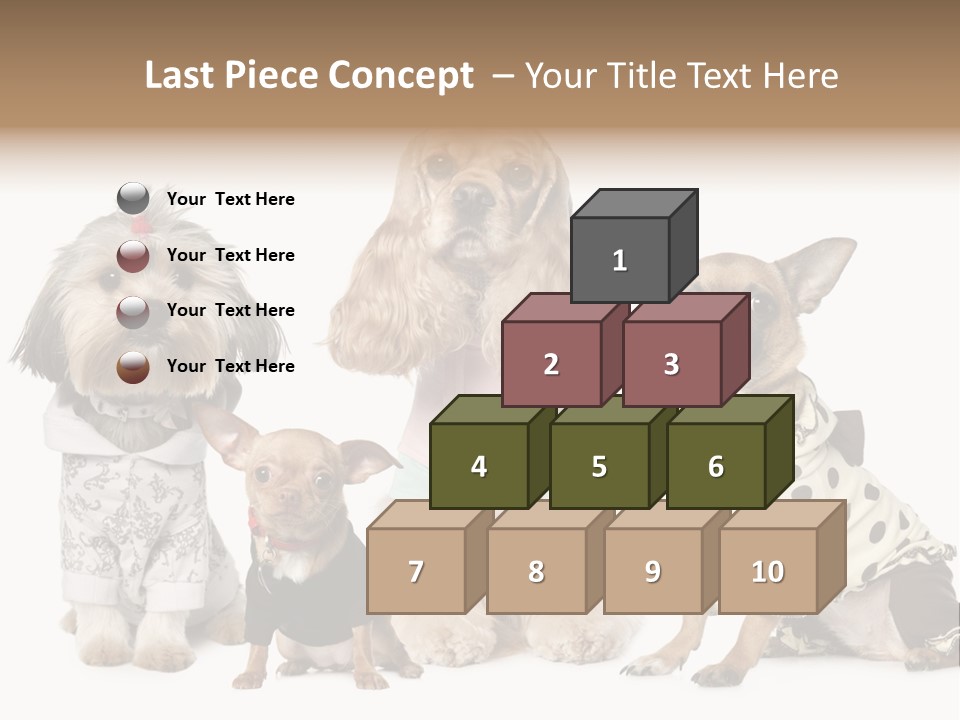 Prague Aerial Satellite PowerPoint Template