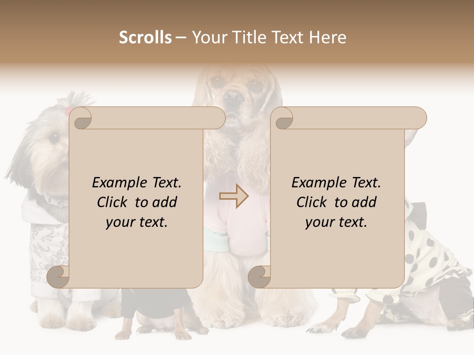 Prague Aerial Satellite PowerPoint Template