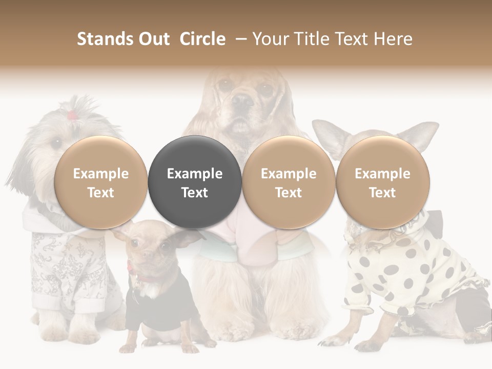 Prague Aerial Satellite PowerPoint Template