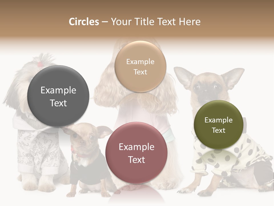 Prague Aerial Satellite PowerPoint Template