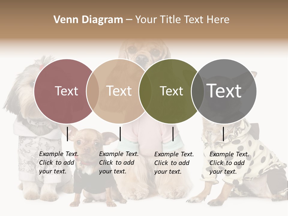 Prague Aerial Satellite PowerPoint Template