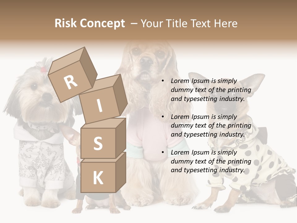 Prague Aerial Satellite PowerPoint Template