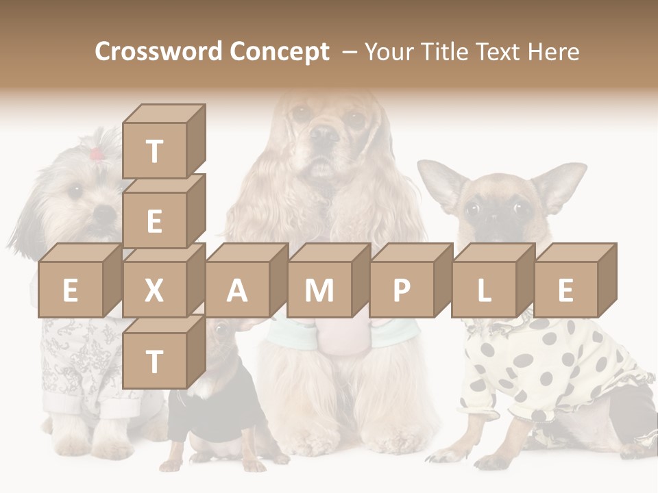 Prague Aerial Satellite PowerPoint Template