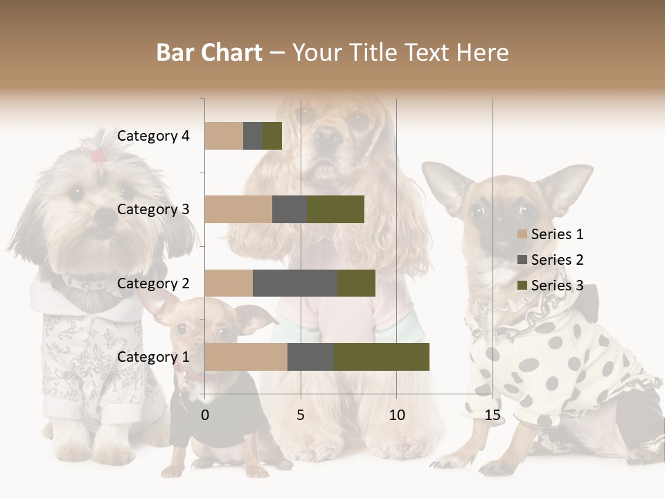 Prague Aerial Satellite PowerPoint Template