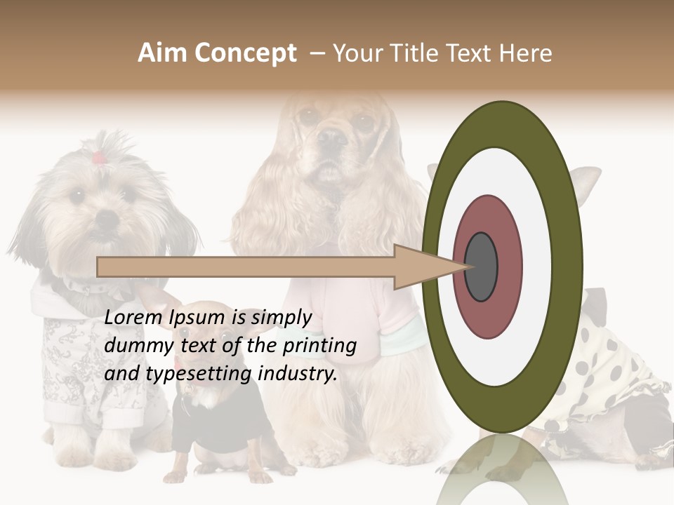 Prague Aerial Satellite PowerPoint Template