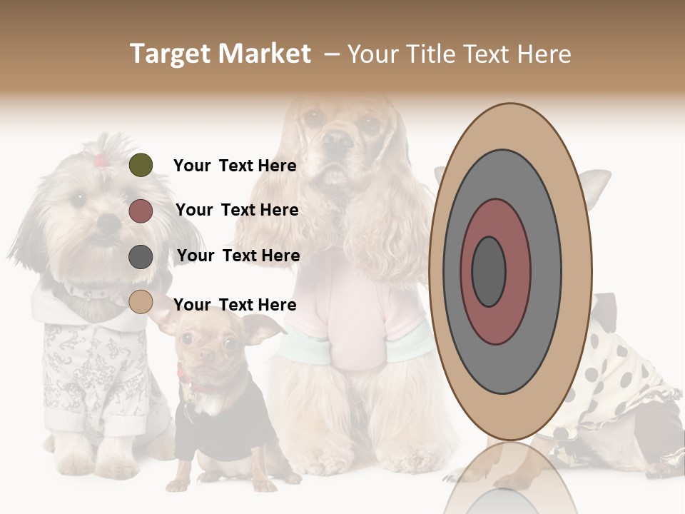 Prague Aerial Satellite PowerPoint Template