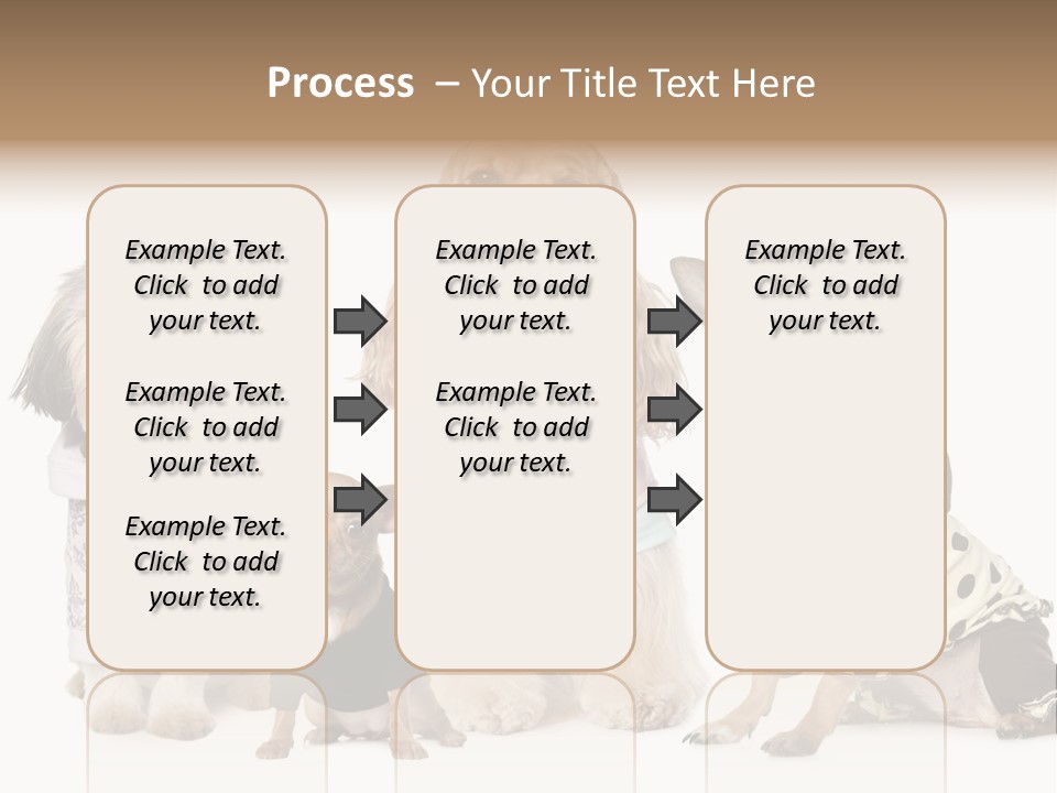 Prague Aerial Satellite PowerPoint Template