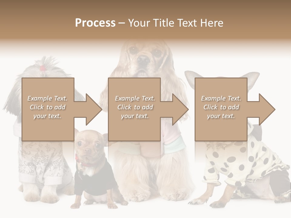 Prague Aerial Satellite PowerPoint Template