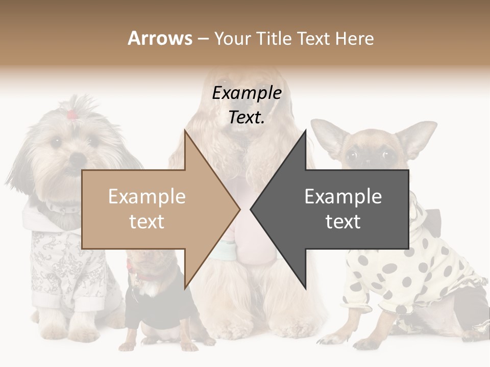 Prague Aerial Satellite PowerPoint Template