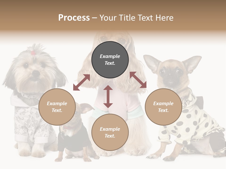 Prague Aerial Satellite PowerPoint Template