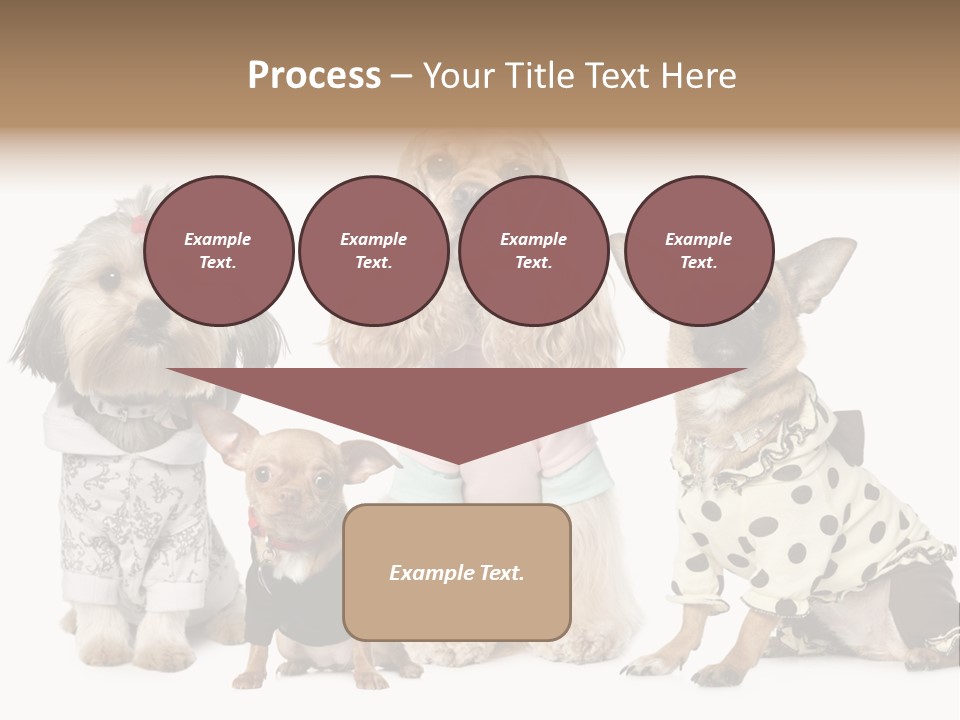 Prague Aerial Satellite PowerPoint Template
