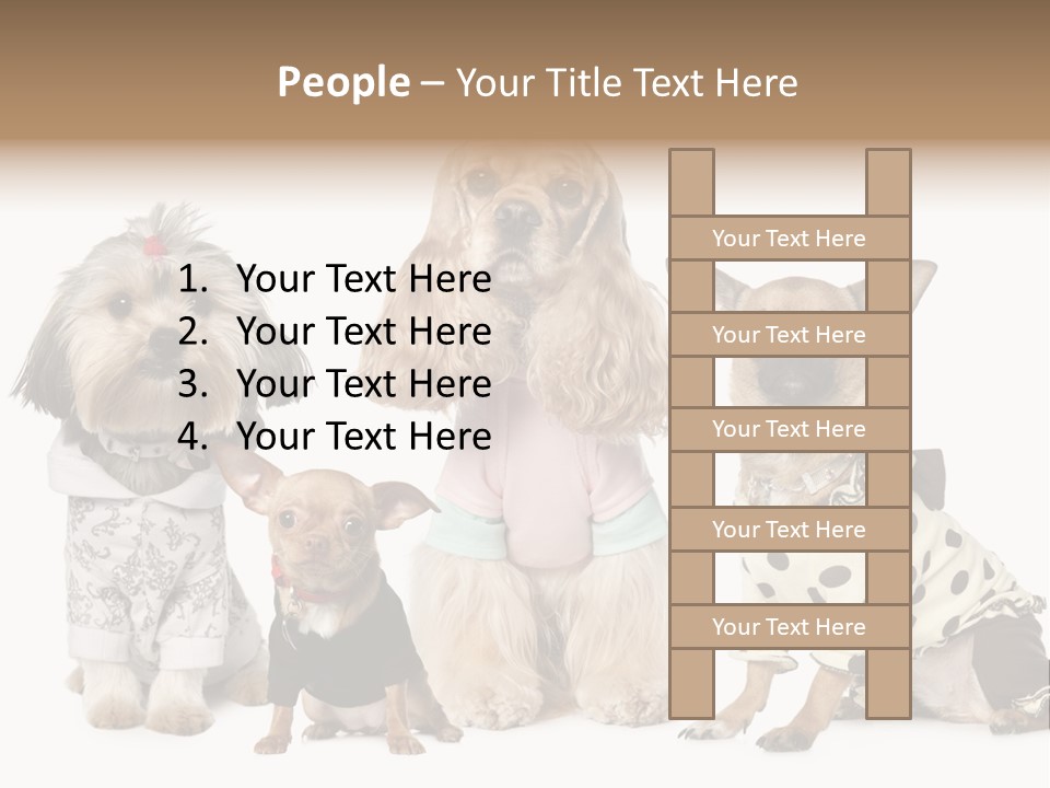Prague Aerial Satellite PowerPoint Template