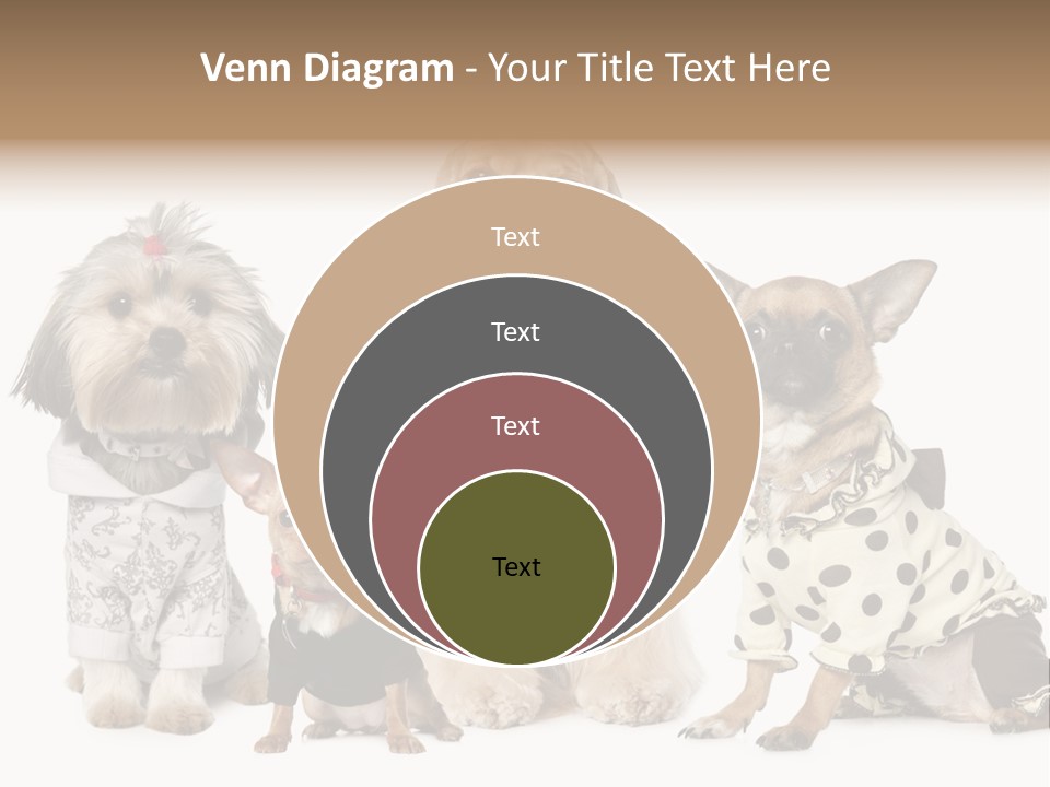 Prague Aerial Satellite PowerPoint Template