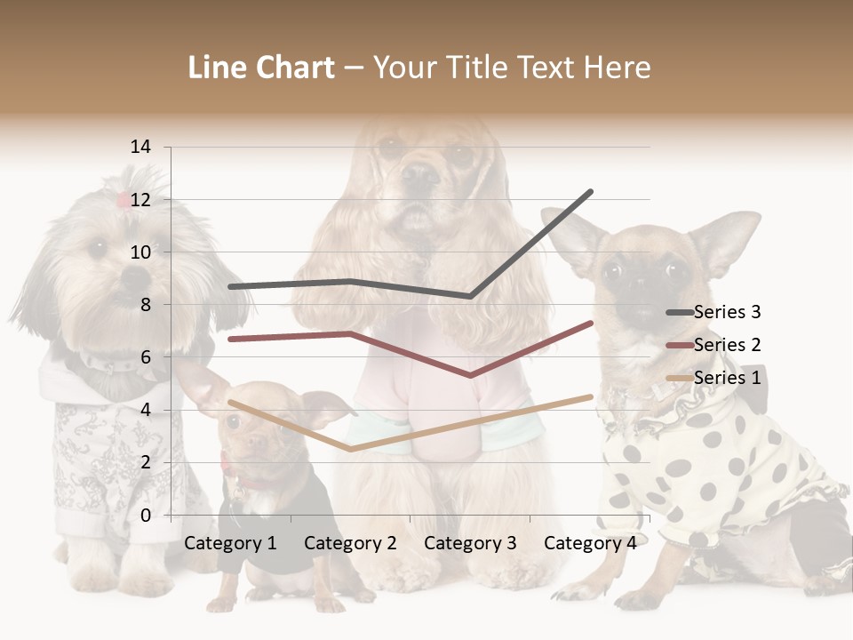 Prague Aerial Satellite PowerPoint Template