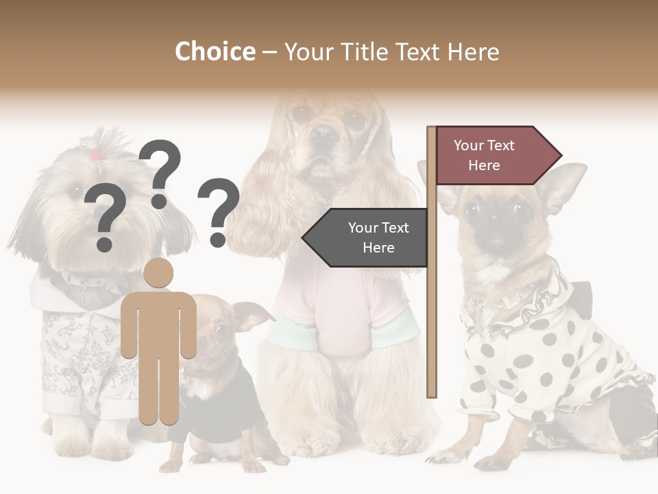 Prague Aerial Satellite PowerPoint Template