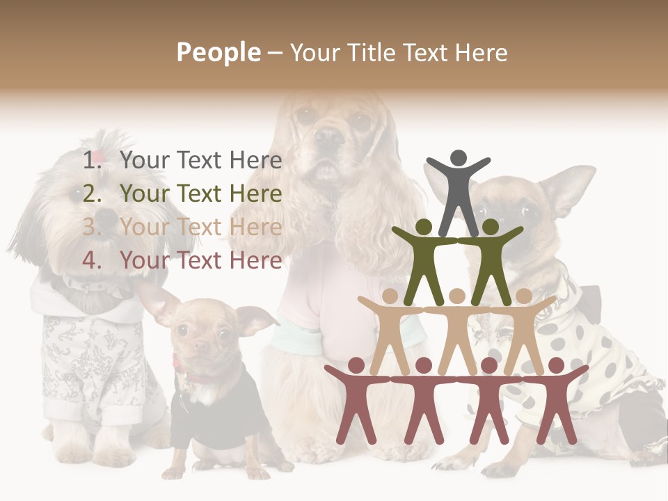 Prague Aerial Satellite PowerPoint Template