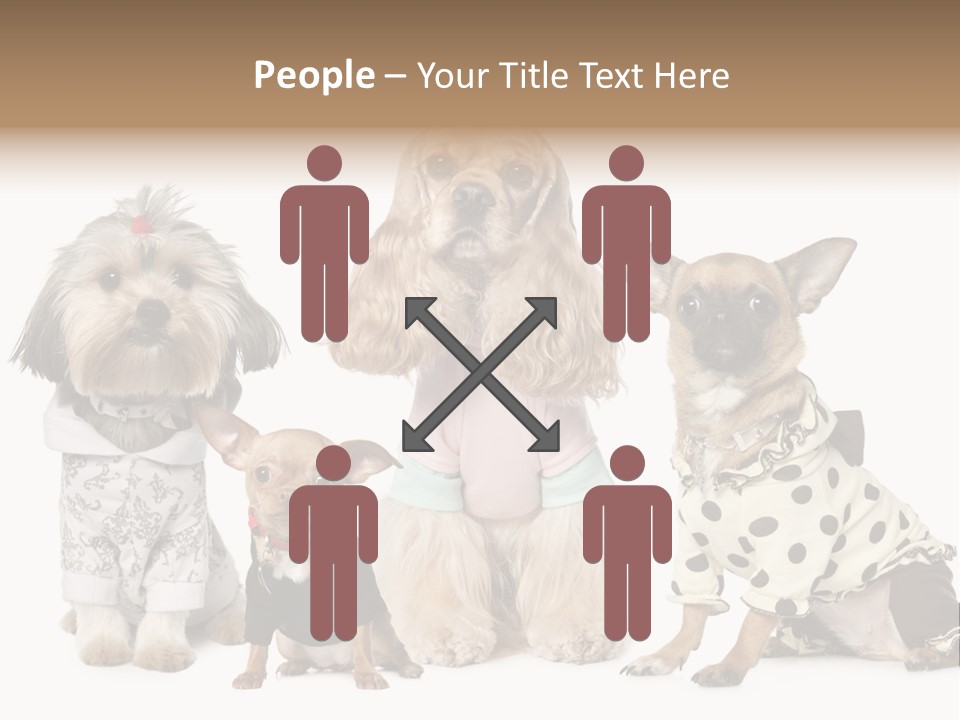 Prague Aerial Satellite PowerPoint Template