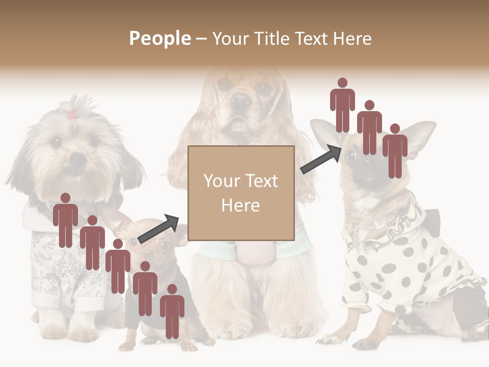 Prague Aerial Satellite PowerPoint Template