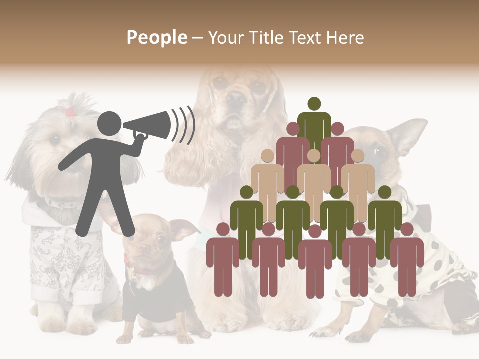 Prague Aerial Satellite PowerPoint Template