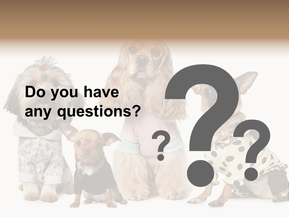 Prague Aerial Satellite PowerPoint Template