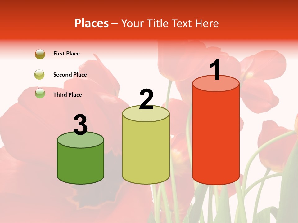 Tulpen PowerPoint Template