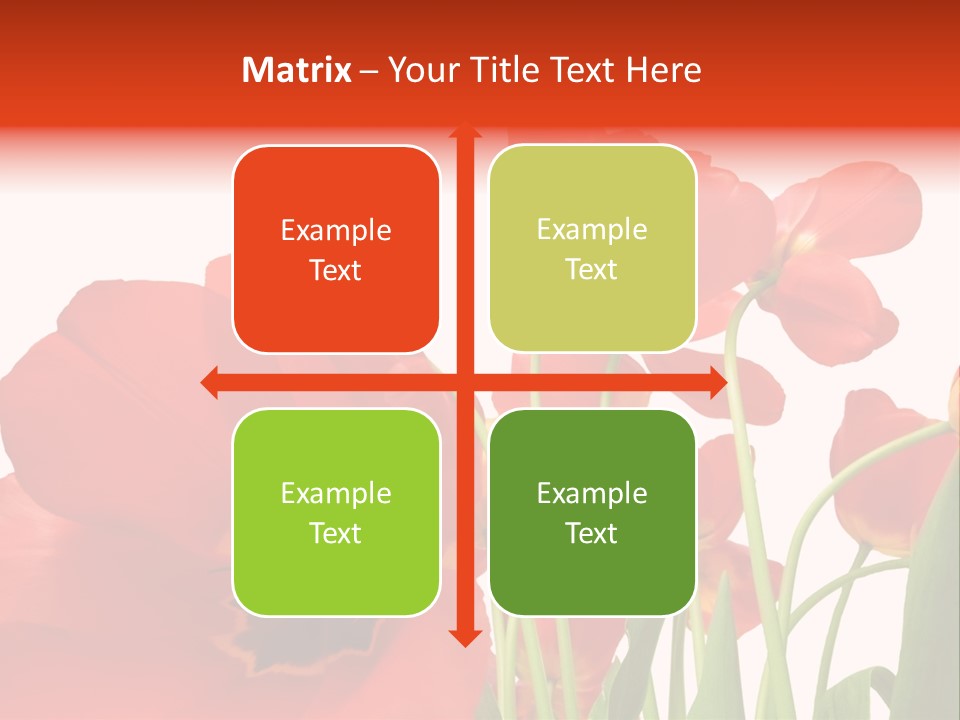 Tulpen PowerPoint Template
