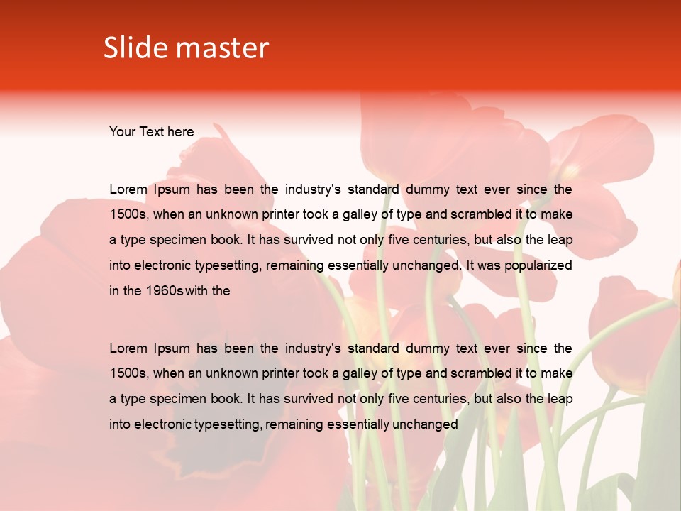 Tulpen PowerPoint Template