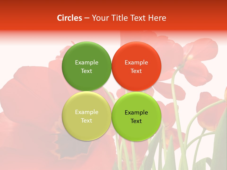 Tulpen PowerPoint Template
