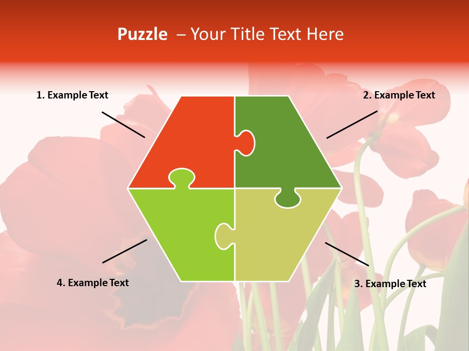 Tulpen PowerPoint Template