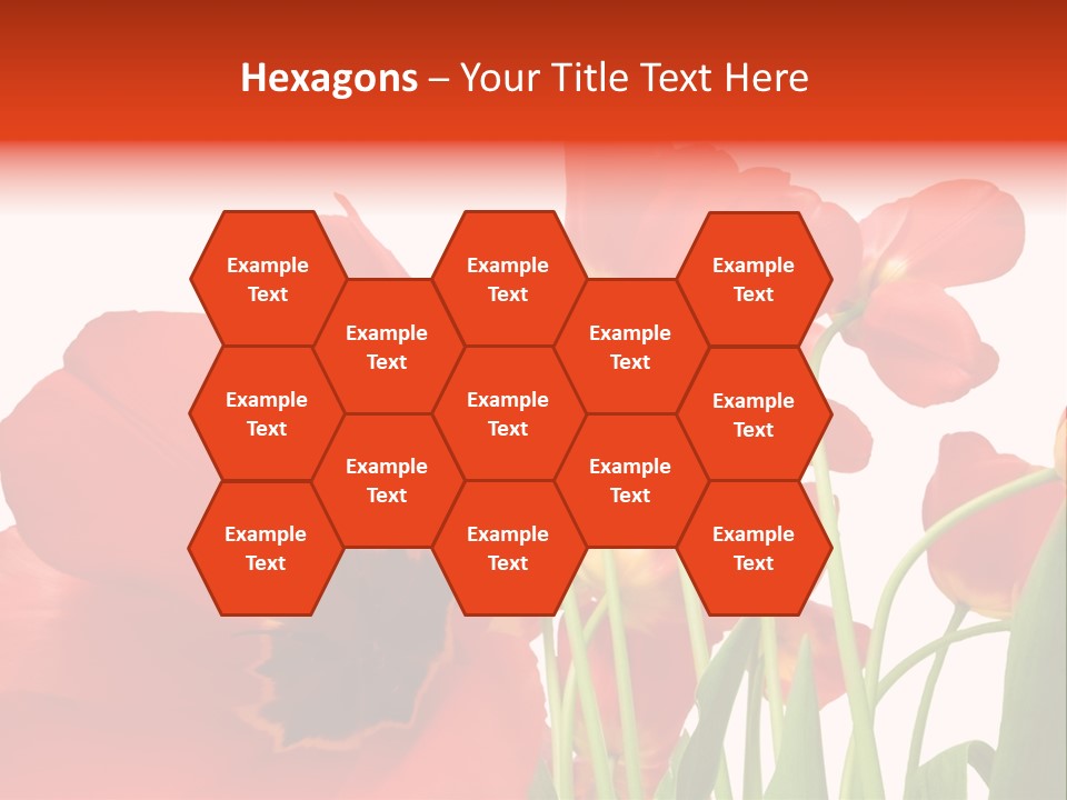 Tulpen PowerPoint Template