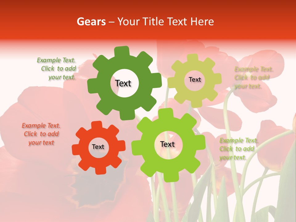 Tulpen PowerPoint Template