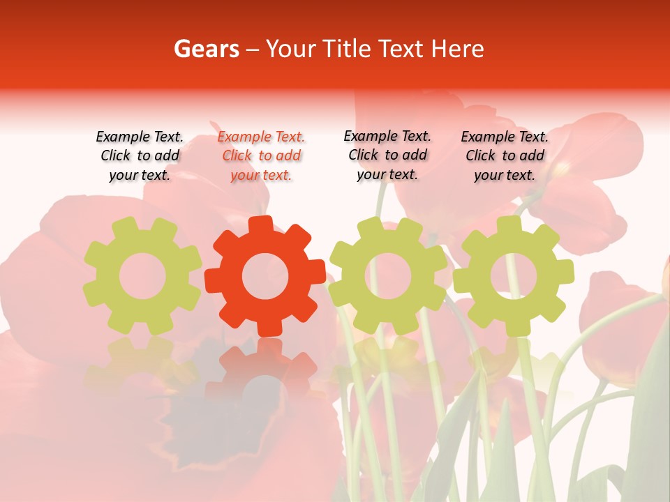 Tulpen PowerPoint Template