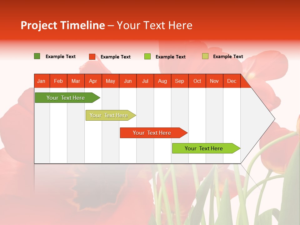 Tulpen PowerPoint Template