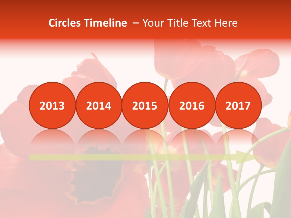 Tulpen PowerPoint Template