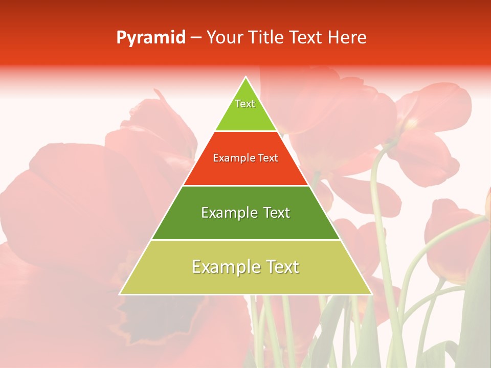 Tulpen PowerPoint Template